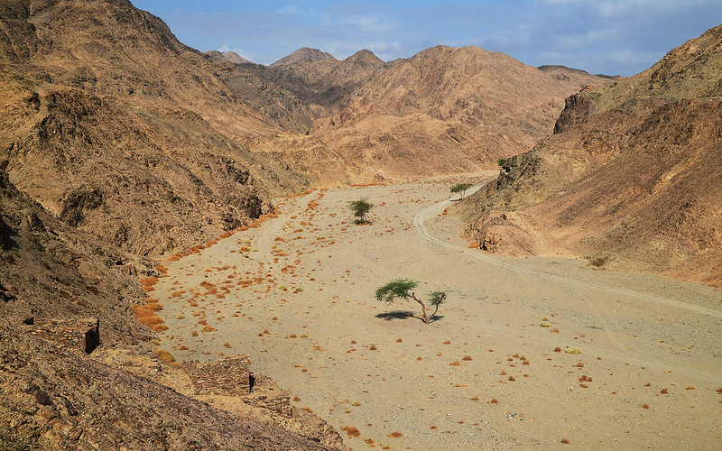 Wadi Sikait