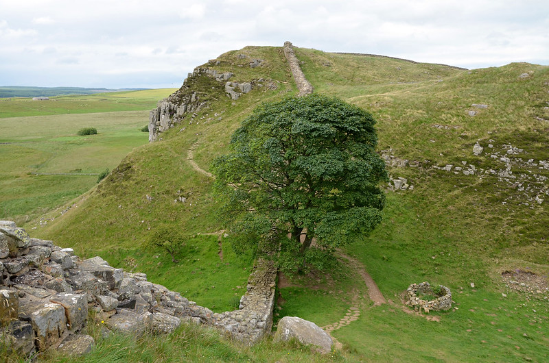 Sycamore Gap en el Muro de Adriano tomada por Carole Raddato en 2017