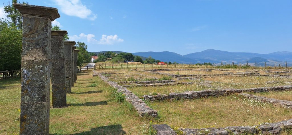 Domus de La Llanuca en Juliobriga