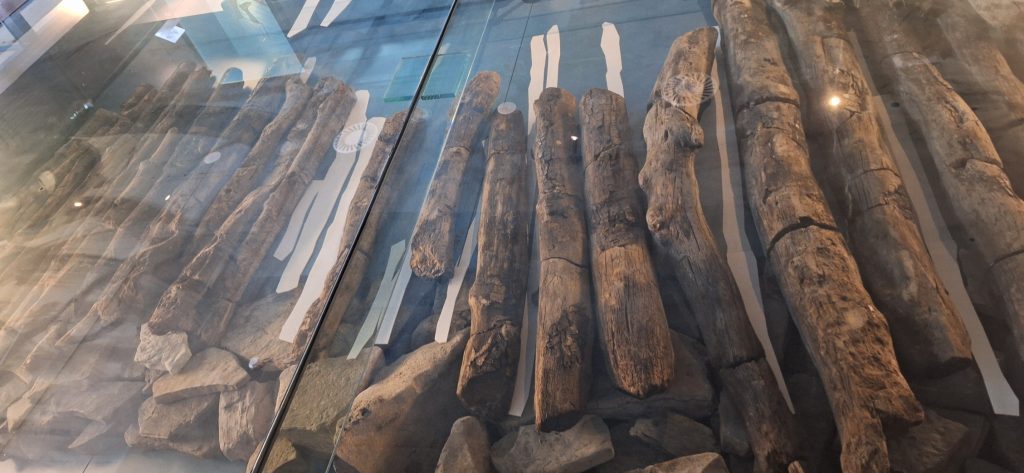 maderas del muelle romano de Irún