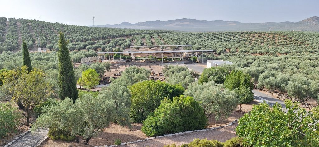 panorámica de la villa romana Fuente Álamo en Puente Genil