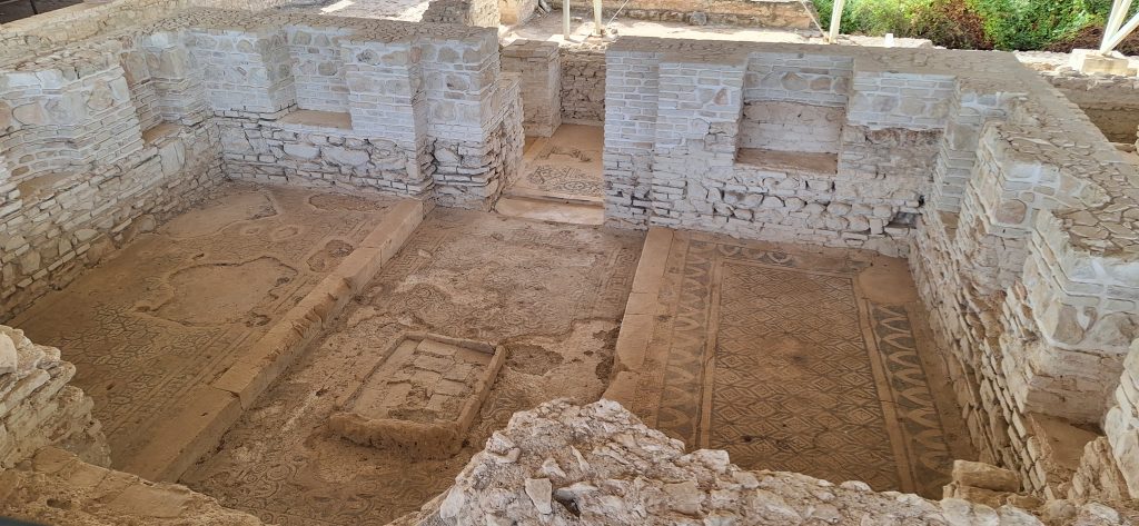 Biblioteca de la villa romana Fuente Alamo en Puente Genil, Córdoba