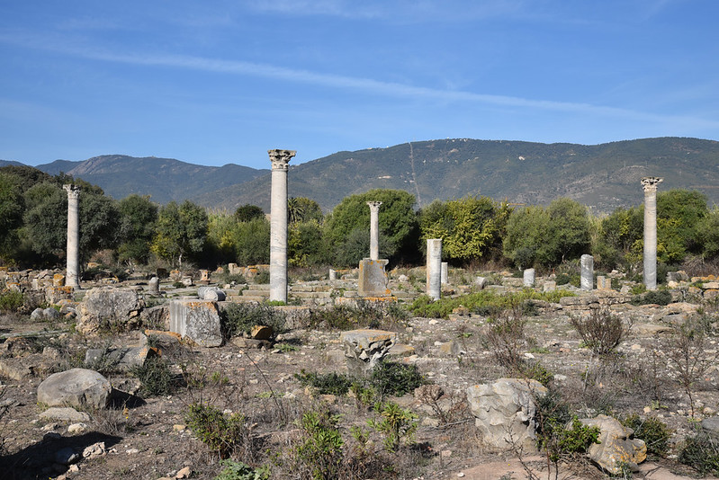 macellum de Hippo Regius, Annaba