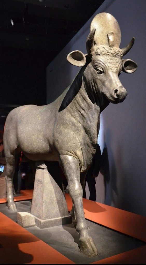 toro apis en el museo greco romano de Alejandría
