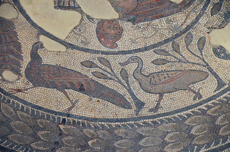 mosaico del Corinium Museum de Cirencester