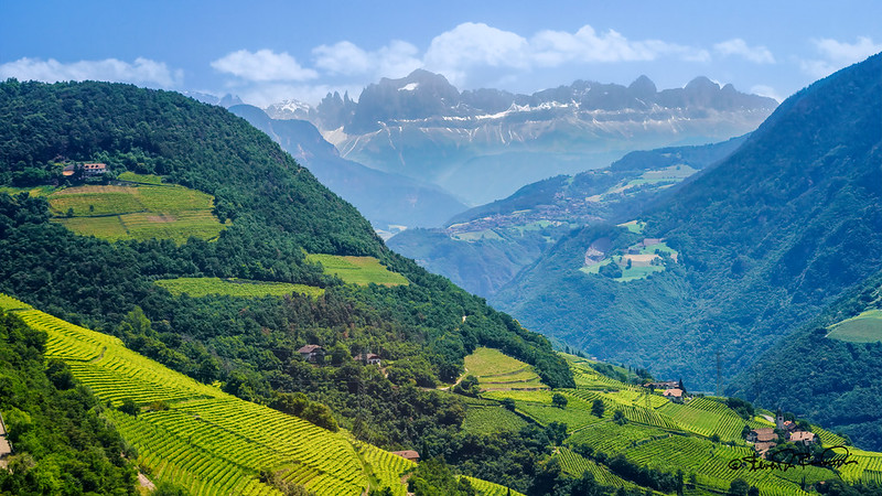 Bolzano