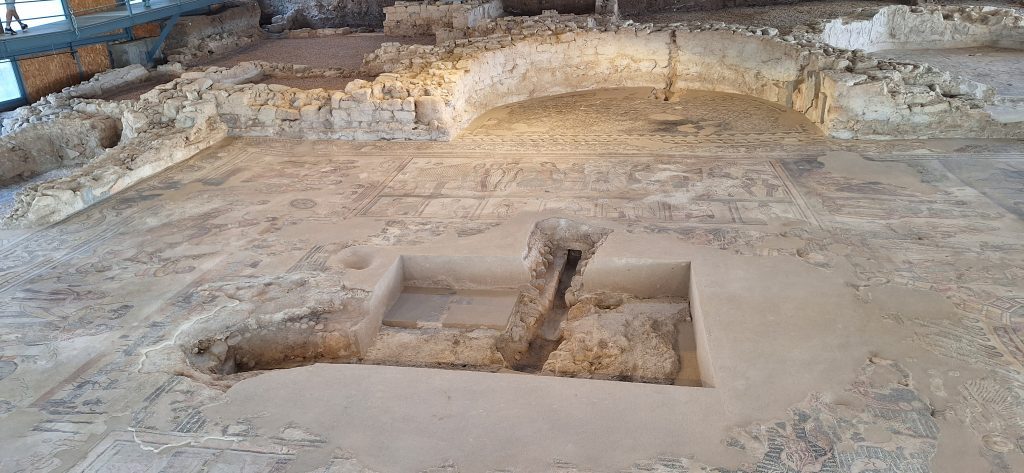 mosaicos del oecus de la villa romana de Noheda