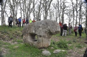 verraco del Castro de Irueña
