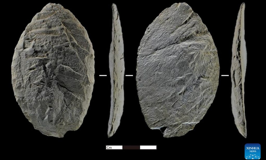 piedra neolítica en Tsungqen Co, China