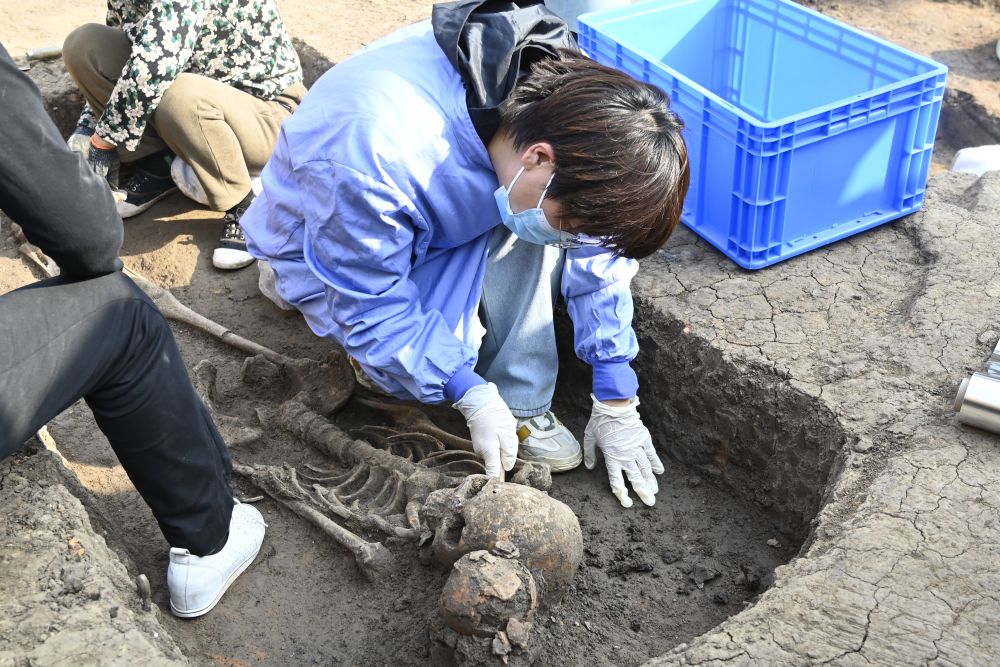 excavaciones arqueológicas en Jiahu