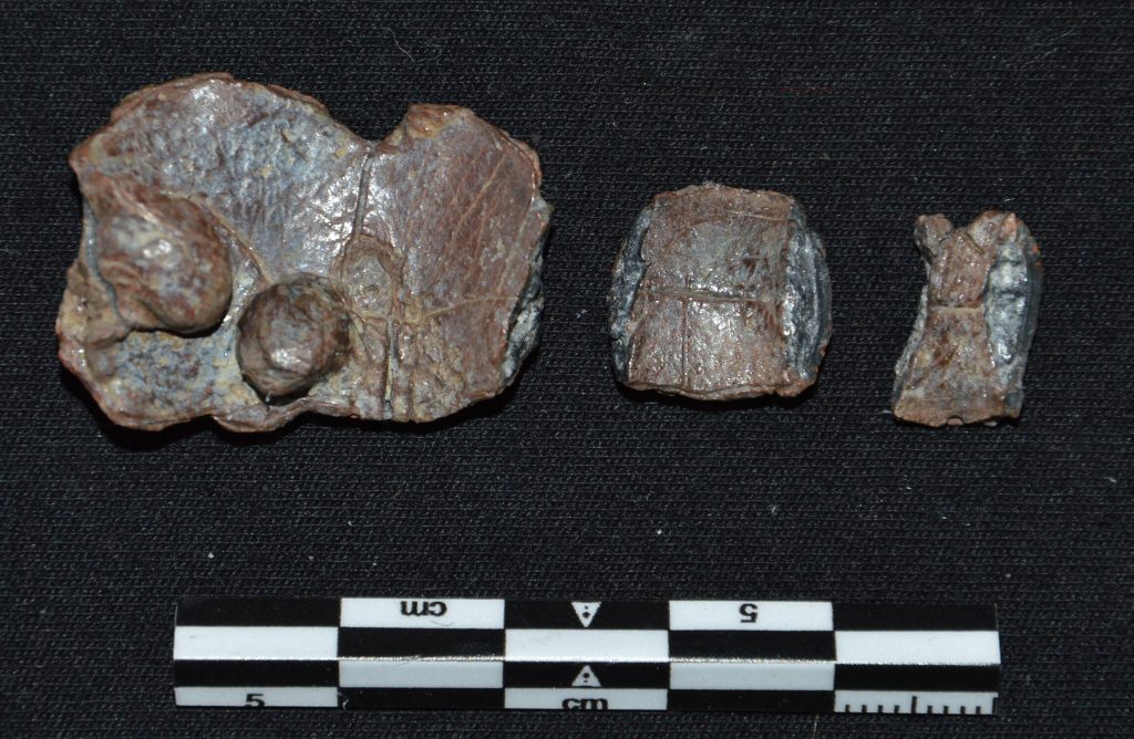 Tablilla de maldición en forma de hígado, inv. IB 104 