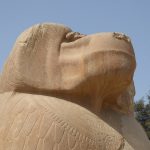 Hermópolis Magna, la ciudad del dios Thot y la necrópolis de Tuna el-Gebel