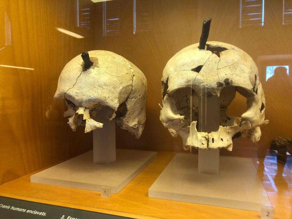 craneos clavados de Ullastret que se pueden ver en el Museo monográfico de Ullastret