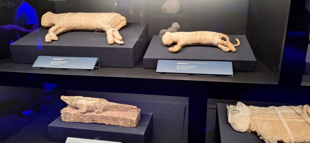 momias de animales procedentes de Saqqara