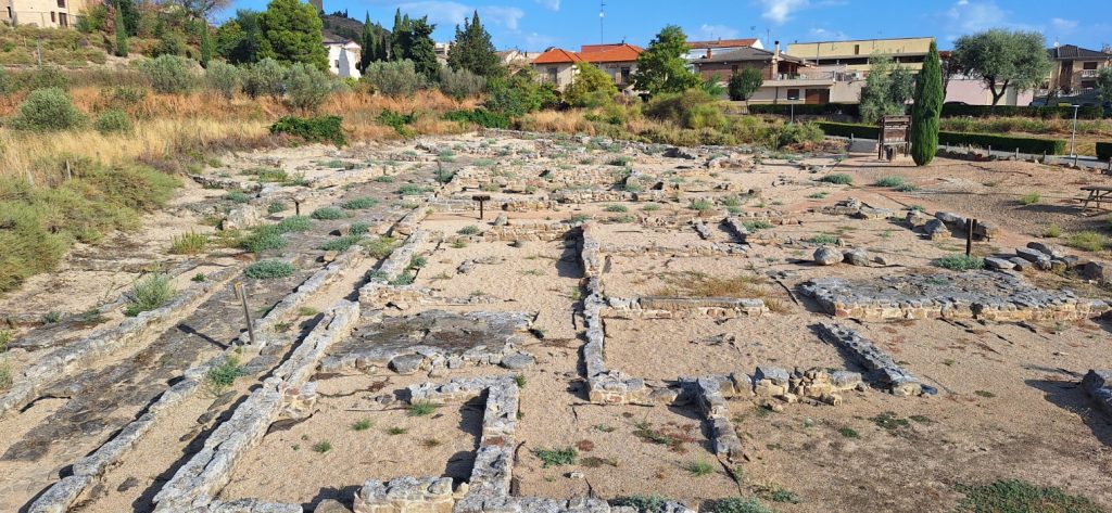 panorámica del yacimiento arqueológico de la ciudad romana de Cara, en Santacara