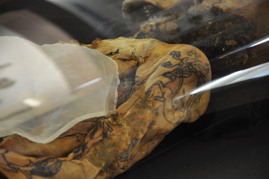 Tatuajes conservados sobre el cuerpo del hombre enterrado en el Kurgán 2 de Pazyryk. Museo Estatal del Hermitage, San Petersburgo.